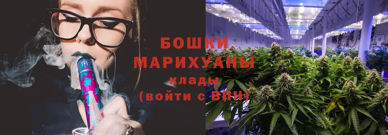 Бошки Шишки SATIVA & INDICA  Будённовск 